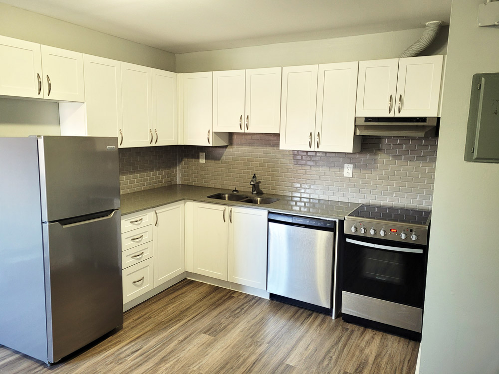 Modern Kitchen Renovation