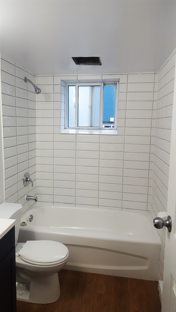 Basement Entertainment Space