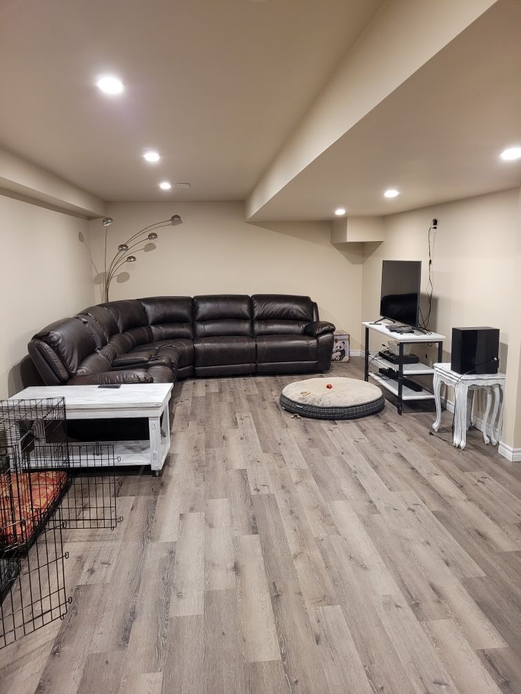 Basement Renovation