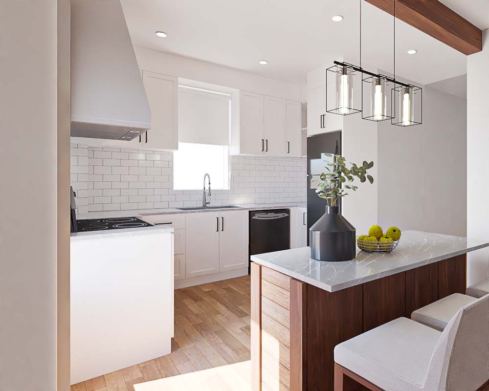Modern Kitchen Renovation