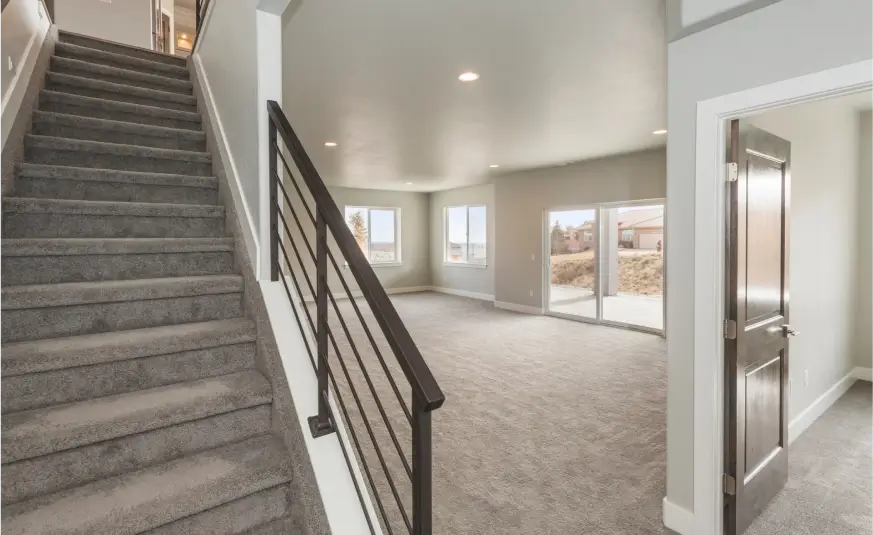 Basement Renovation