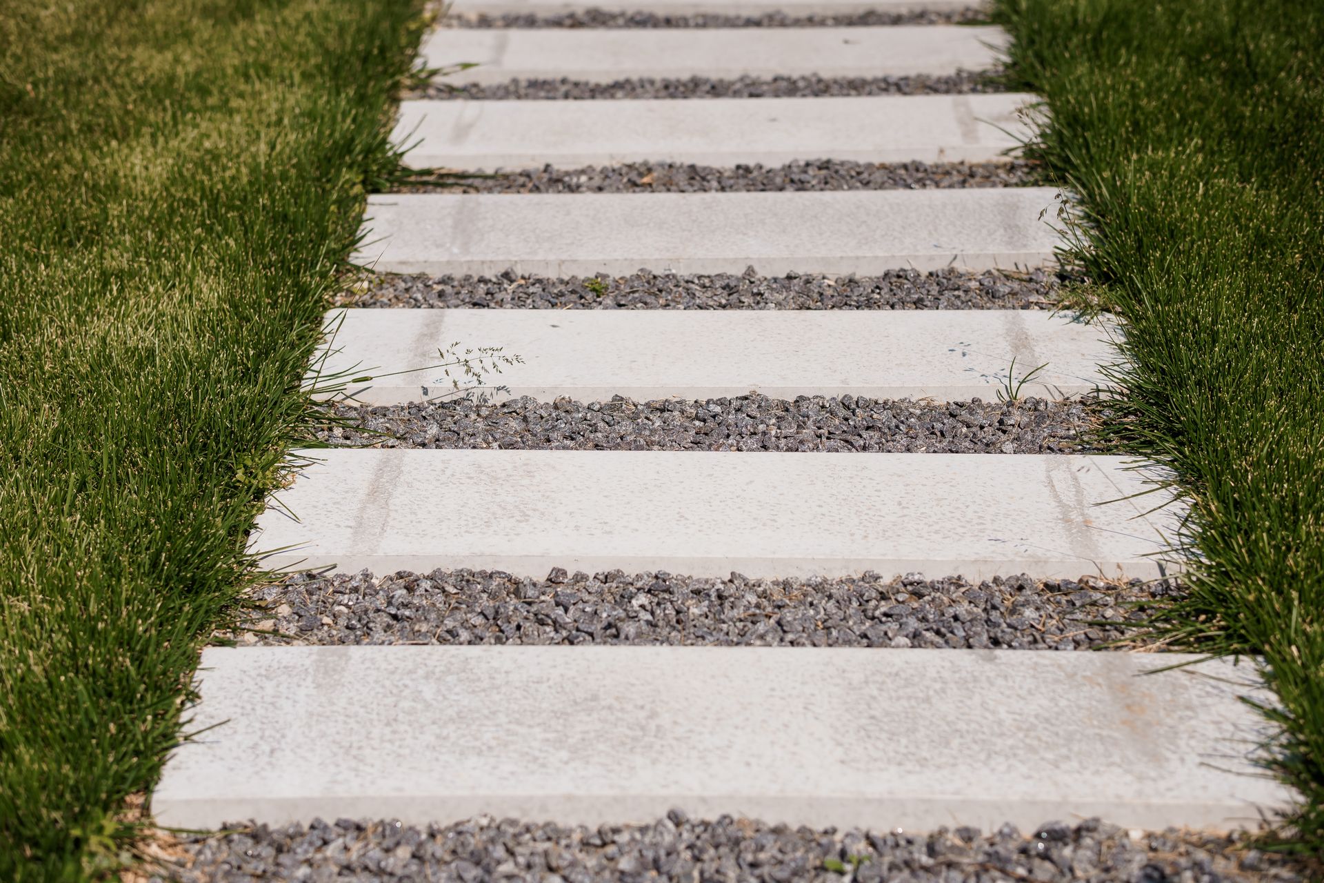Hardscaping & Backyard Renovation