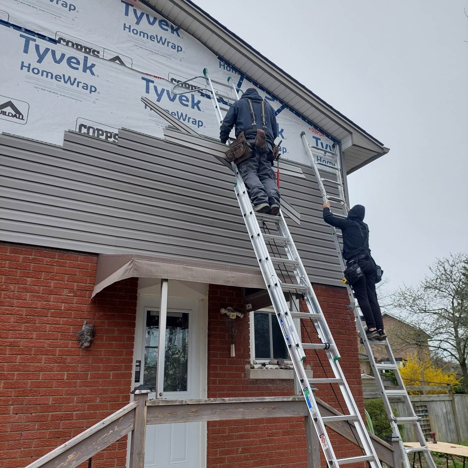 Renovation Project